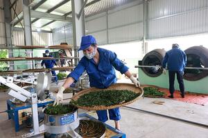 Khoa học công nghệ tạo xung lực đổi mới cho các HTX ở Thái Nguyên