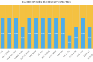 Giá heo hơi hôm nay 25/12/2025: Tiếp đà tăng miền Nam và miền Trung