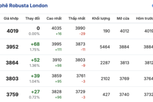 Giá cà phê hôm nay 31/12/2025: Đảo chiều tăng trở lại
