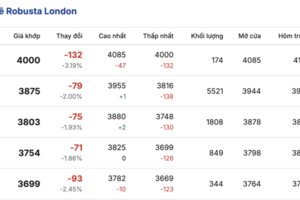 Giá cà phê hôm nay 6/1/2026: Tăng nhẹ 100 đồng/kg