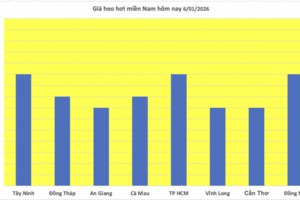 Giá heo hơi hôm nay 6/1/2026: Tăng 1.000 đồng