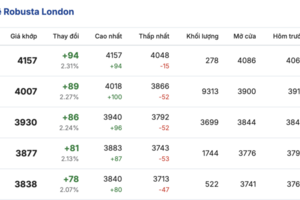 Giá cà phê hôm nay 7/1/2026: Giảm nhẹ 500 đồng/kg