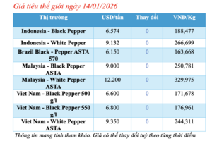 Giá tiêu hôm nay 14/1/2026: Cắt chuỗi neo cao, quay đầu giảm