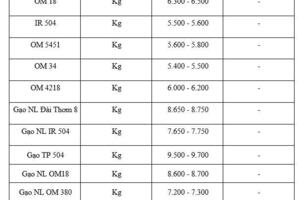 Giá lúa gạo hôm nay ngày 16/1/2026: Phụ phẩm tăng nhẹ