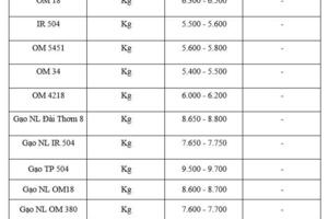 Giá lúa gạo hôm nay ngày 22/1/2026: Thị trường trầm lắng