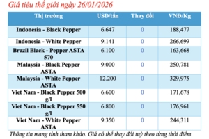 Giá tiêu hôm nay 26/1/2026: Cao nhất 150.000 đồng/kg