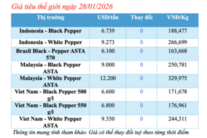 Giá tiêu hôm nay 28/1/2026: Tăng vọt 3.000 đồng/kg