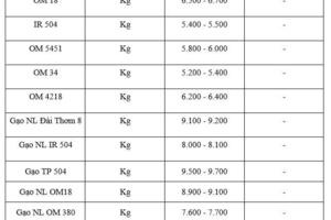 Giá lúa gạo hôm nay ngày 12/2/2026: Gạo thơm xuất khẩu 415-430 USD/tấn