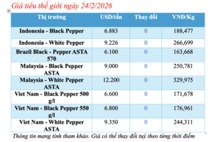 Giá tiêu hôm nay 24/2/2026: Chạm ngưỡng 152.000 đồng/kg