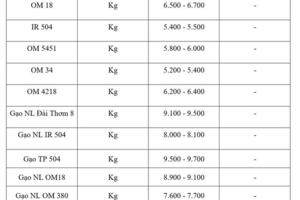 Giá lúa gạo hôm nay ngày 24/2/2026: Gạo xuất khẩu tăng giảm trái chiều