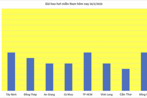 Giá heo hơi hôm nay 26/2/2026: Giảm đồng loạt tại miền Bắc, miền Trung