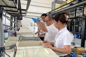 Sản xuất khởi sắc: Chuyên gia, doanh nghiệp nói gì?