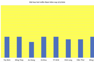 Giá heo hơi hôm nay 9/3/2026: Đang trên đà giảm