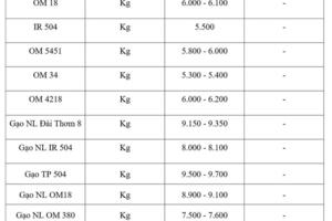 Giá lúa gạo hôm nay ngày 10/3/2026: Gạo nguyên liệu xuất khẩu OM 5451 tăng
