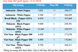Giá tiêu hôm nay 13/3/2026: Đồng loạt giảm mạnh