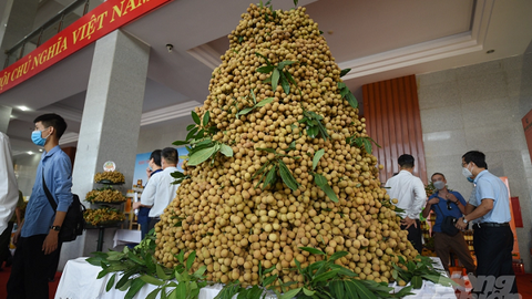 Lần đầu tiên nhãn Hưng Yên lên sàn thương mại điện tử