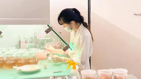 Cô gái trẻ thành công với nấm đông trùng hạ thảo