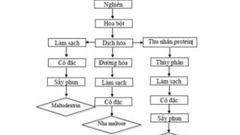 Hoàn thiện công nghệ sản xuất một số sản phẩm từ gạo ứng dụng trong công nghiệp thực phẩm