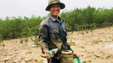 Vành đai xanh hồi sinh vùng biển "chết"