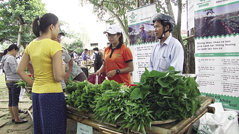Hội An organic
