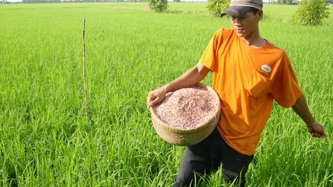 Thay đổi tư duy, nhận thức nông dân để sản xuất bền vững ĐBSCL
