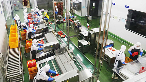 Nông nghiệp Hà Nội: Nâng cao năng lực chế biến nông sản
