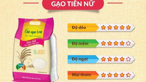 Gạo thơm Lộc Trời đạt chứng nhận OCOP cấp quốc gia