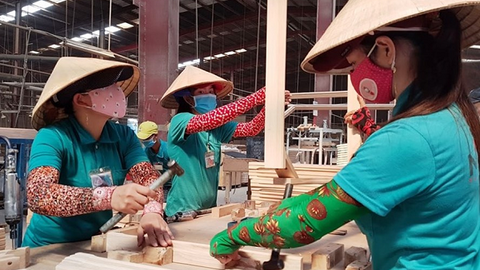 Phục hồi gấp lực lượng lao động các ngành chủ lực của nông nghiệp