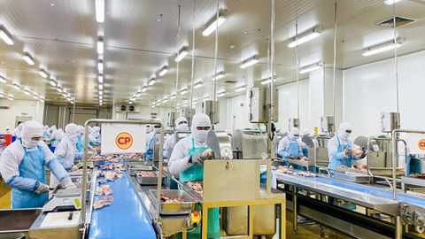 Xây dựng vùng an toàn dịch bệnh, yếu tố quyết định trong xuất khẩu gia cầm
