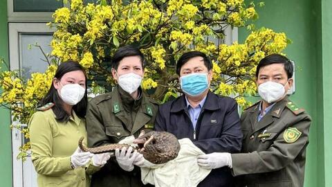 Bàn giao cá thể tê tê cho Vườn Quốc gia Cúc Phương