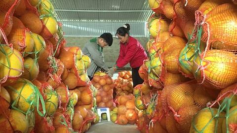 OCOP mở hướng phát triển cho nông sản Yên Bình