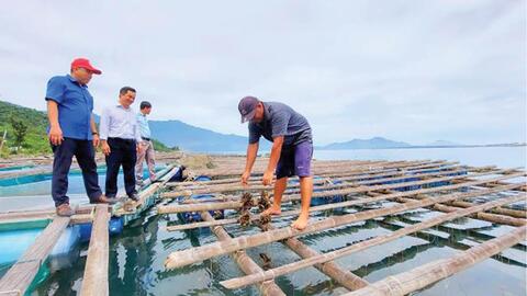 Mô hình kinh tế mới hiệu quả của nông dân