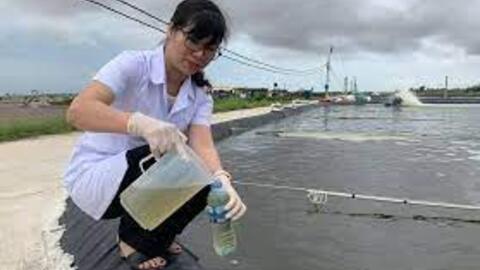 Phân lập, tuyển chọn và định danh vi khuẩn tía không lưu huỳnh, thử nghiệm khả năng xử lý sulfide trong nước ao nuôi tôm tại huyện Kiên Lương, tỉnh Kiên Giang