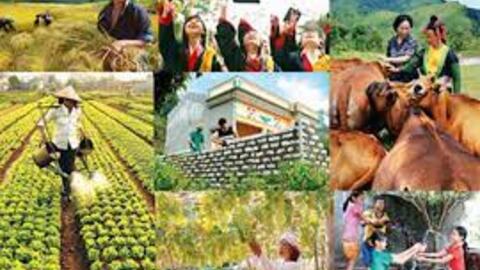 Giảm nghèo bền vững cho Phong Chương và Điền Hương