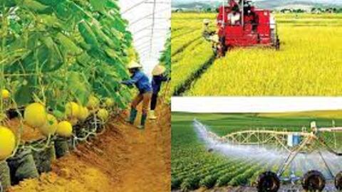 Hiệu quả, bền vững cho nông nghiệp