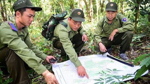 Nâng cao hiệu quả quản lý, sử dụng bền vững tài nguyên rừng