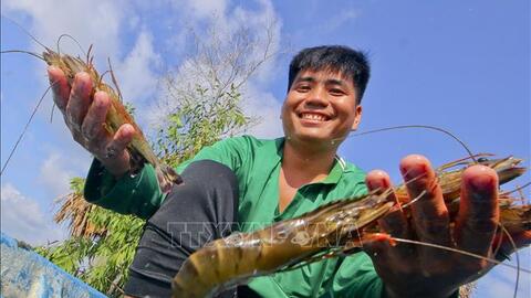 Ngành tôm Việt tự tin bước vào kỷ nguyên mới