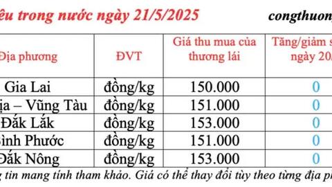 Giá tiêu hôm nay 21/5/2025: thị trường tăng giảm đan xen
