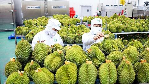 Xuất khẩu rau quả 2025, dự kiến khó về đích