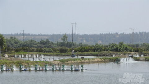 Quan trắc môi trường giúp người nuôi tôm tránh được rủi ro