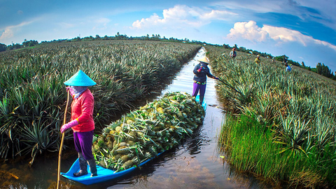 Nỗ lực khơi thông nguồn cung nông sản