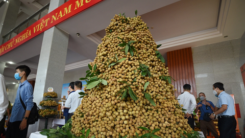 Lần đầu tiên nhãn Hưng Yên lên sàn thương mại điện tử