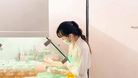 Cô gái trẻ thành công với nấm đông trùng hạ thảo