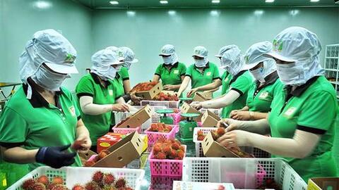 Thị trường Anh là "mỏ vàng" của nông sản Việt Nam