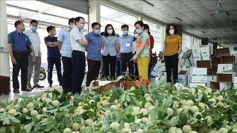 Lạng Sơn tạo điều kiện hỗ trợ nông dân tiêu thụ trái na