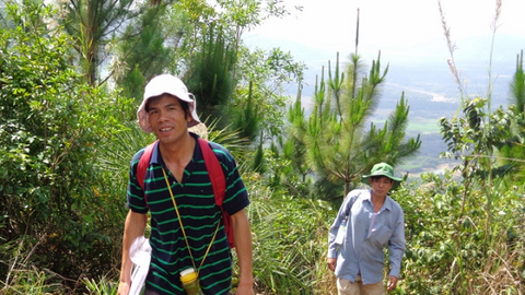 Rừng trồng la liệt chết khô do nắng nóng