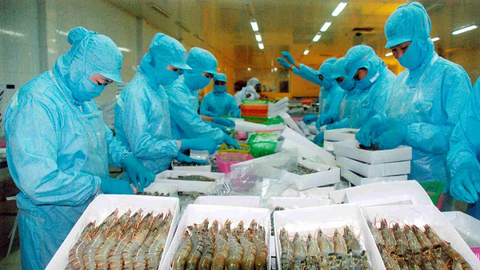VASEP: "Chỉ 30-40% doanh nghiệp thủy sản có khả năng phục hồi ngay sau giãn cách"