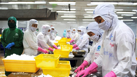 Gỡ vướng cho xuất khẩu nông sản