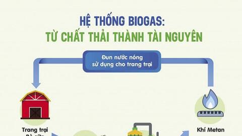 Tuần hoàn xanh, những mô hình giá trị