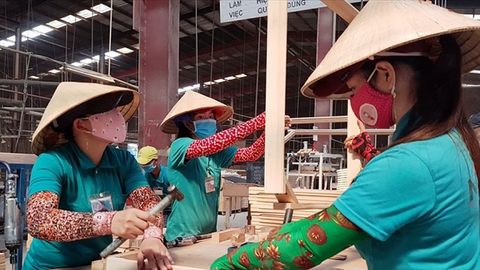 Phục hồi gấp lực lượng lao động các ngành chủ lực của nông nghiệp